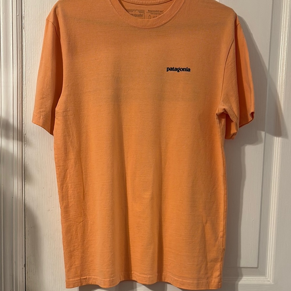 Patagonia Men's Short Sleeve Tee in Orange
